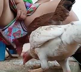 Mesti menonton desi bhabi makan ayam