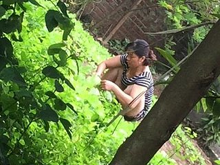 Huong Nguyen big pest