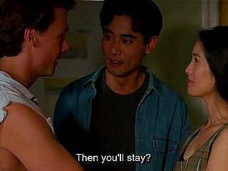 喜宴喜宴（1993）