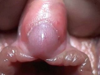 Clitoris is zeer close-up