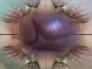thức ăn cho cá cho pussis