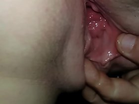 وبیش کھانے نوجوان گیلے بلی