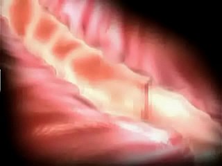 Đau khổ và niềm vui 3d hentai