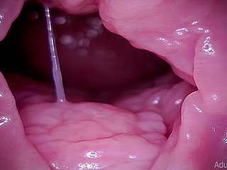 子宮頸部、vore、巨人、ASMR