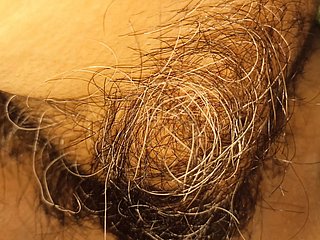 Aloofness figa pelosa di mia moglie e il clitoride