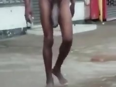 怪物公鸡无家可归的人