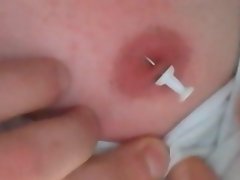 Niples Mała tortury 3