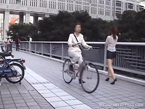 perra de pelo sedoso cambia de ropa