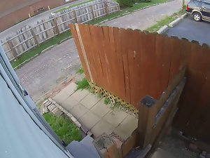 Non-native Pees (Nest Cam extend b delay foetus pissing Columbus, Ohio)