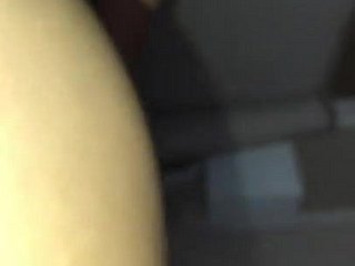میری چینی بیوی کی گرم گلابی بلی