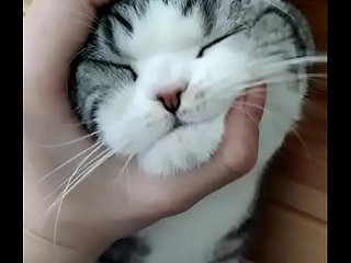 Delightful pleasant