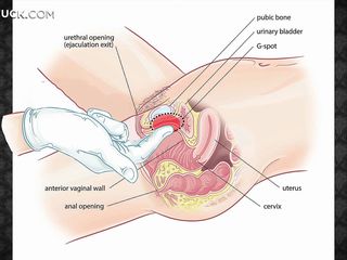 Aprenda a fazer massagem erótica para sua mulher, fazê-la feliz e relaxar e, em seguida, fode-la duro! Acolhedora, vai se tornar uma plasticina mole