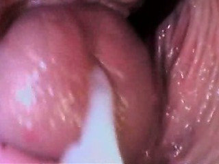 Cumshot/Creampie Compilation