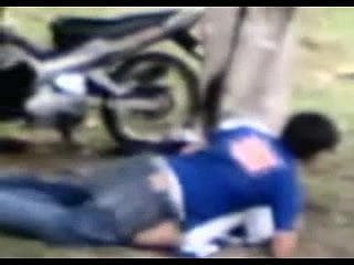 Melayu-kilat tudung mating Bawah pokok