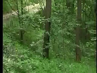 Jebacina na Avali Serbian-Srpski way in KRMANJONAC
