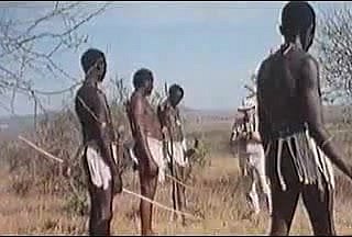 African telling penises !real safari!