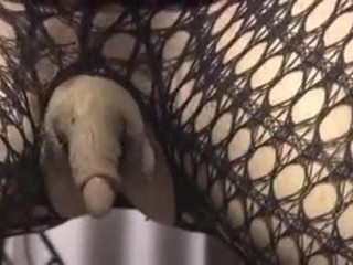 الهائل البظر منتصب