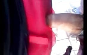 الإباحية توقف الفيديو حافلة