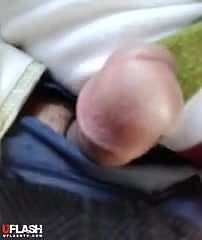 Hijabi 버스 플래시