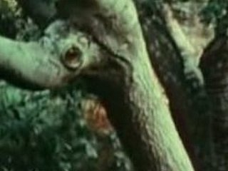 Gadis muda kacau oleh Bigfoot